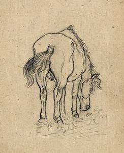 Cheval