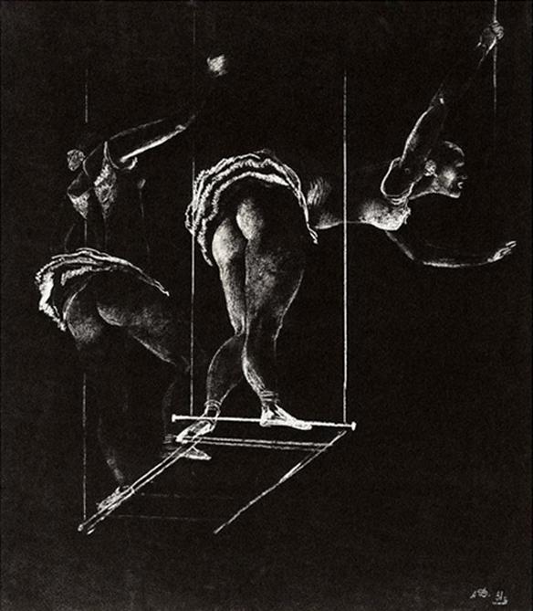 Acrobates