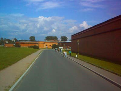 IMG0224