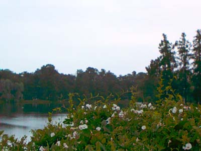 pouchkine lac0